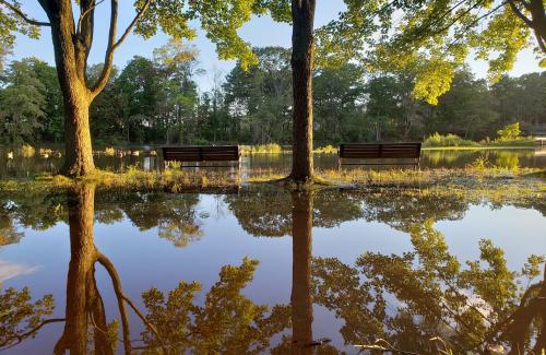 Flooded park