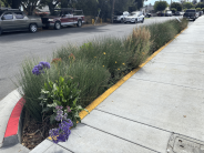 Green infrastructure