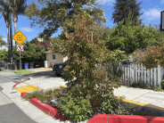 Green infrastructure