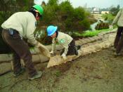 Flood Repairs from December, 2012 Overflow