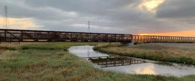 Creek and Wooden Bridge