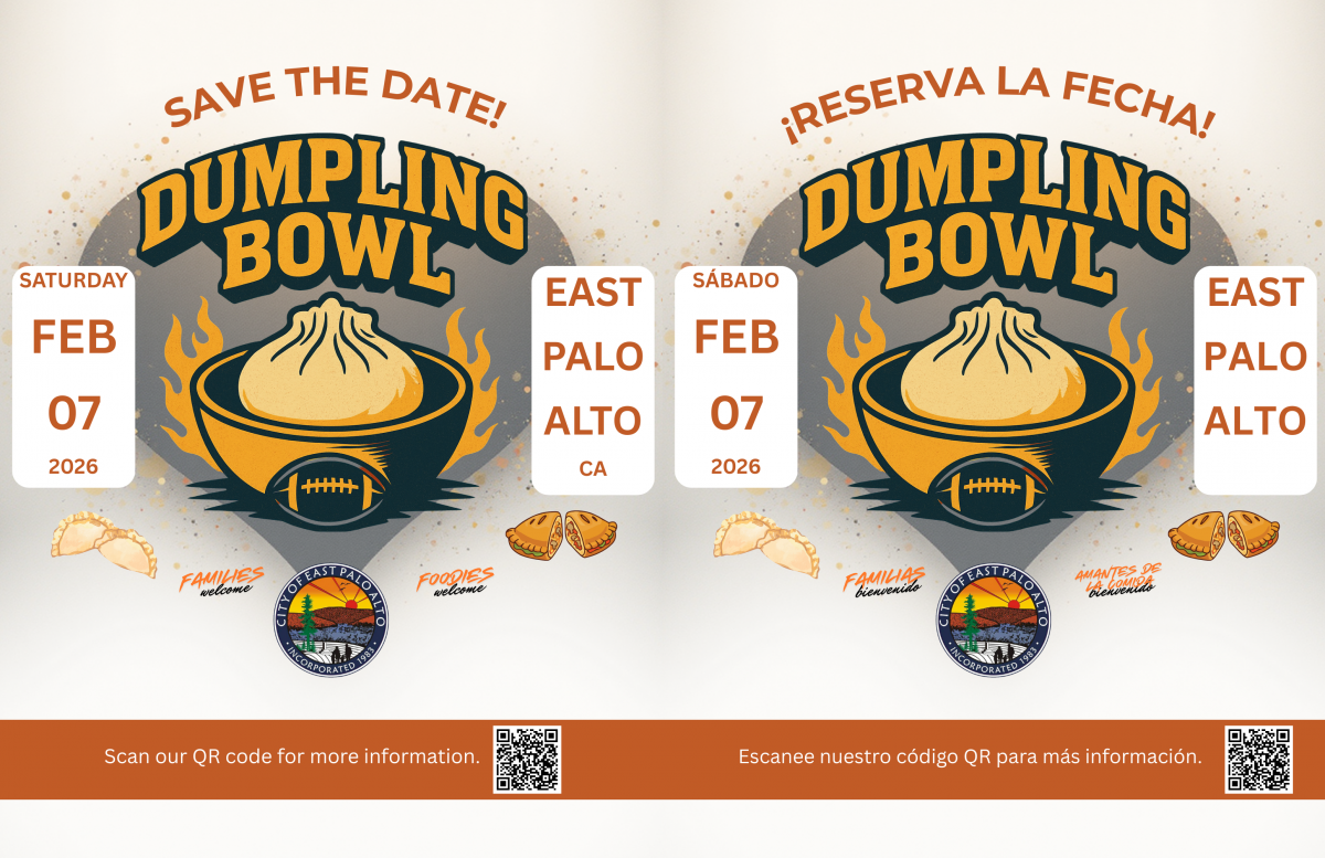 Dumpling Bowl Dumpling Bowl