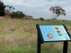 Interpretative Signs